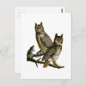 Große Horned Owl John Audubon Birds of America Postkarte (Vorne/Hinten)