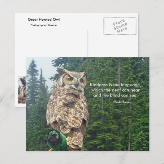 Große Horned Owl Kindness Postkarte (Vorne/Hinten)