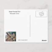 Große Horned Owl Kindness Postkarte (Rückseite)