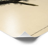 Große Horned Owl von Audubons Vögeln von Amerika Fotodruck (Ecke)