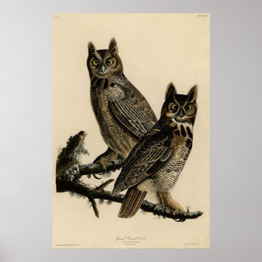 Große Horned Owl von Audubons Vögeln von Amerika Poster (Vorne)