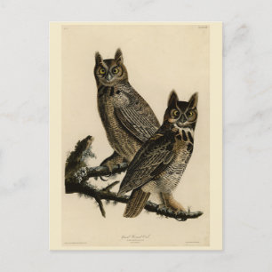 Große Horned Owl von Audubons Vögeln von Amerika Postkarte