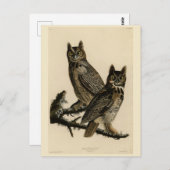 Große Horned Owl von Audubons Vögeln von Amerika Postkarte (Vorne/Hinten)
