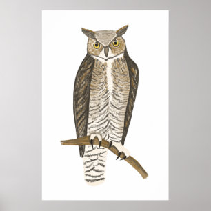 Große Horned Owl Zeichnend Kunst Poster