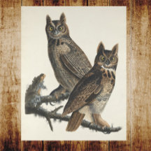 Große Horned Owls Spooky Vintage Illustration