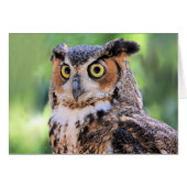 Große Hornhaut-Blankkarte (Vorderseite (Horizontal))