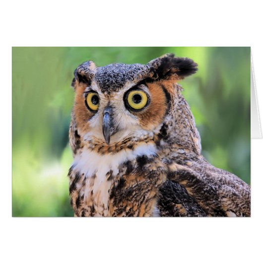 Große Hornhaut-Blankkarte (Vorderseite (Horizontal))