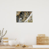 Große Hornhaut mit Owlet Poster (Küche)