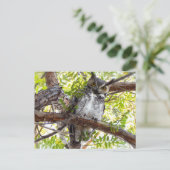 Große Hornhaut nach unten Postkarte (Stehend Vorderseite)