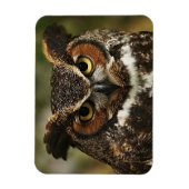 Große Hornhaut Nahes, flexibles Foto Magnet (Vertikal)