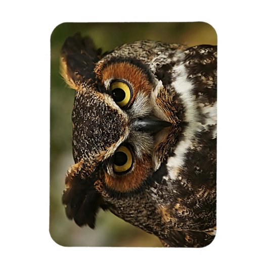 Große Hornhaut Nahes, flexibles Foto Magnet (Vertikal)