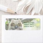 Große Hornschale (Insitu)