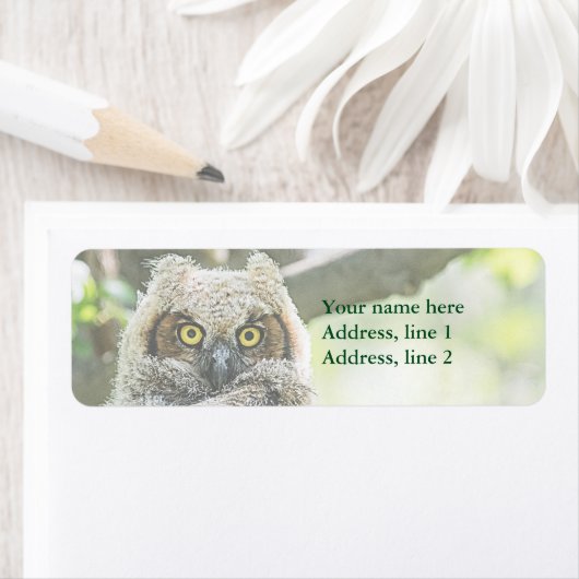 Große Hornschale (Insitu)