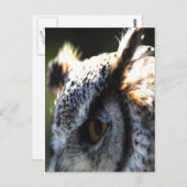 Große Hornschale 2 Postkarte (Vorne/Hinten)