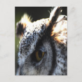 Große Hornschale 2 Postkarte (Vorderseite)