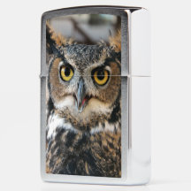 Große Hornschale (Bubo virginianus)