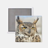 Große Hornschale (Bubo virginianus), gefangen Magnet (Vorderseite/Rückseite)
