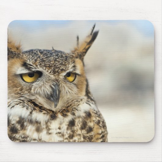 Große Hornschale (Bubo virginianus), gefangen Mousepad (Vorne)
