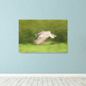 Große Hornschale (Bubo virginianus) Leinwanddruck (Insitu (Holzboden))