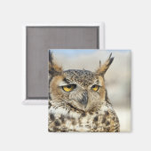 Große Hornschale (Bubo virginianus) Magnet (Vorderseite/Rückseite)