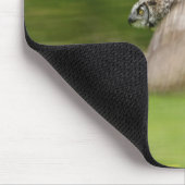 Große Hornschale (Bubo virginianus) Mousepad (Ecke)