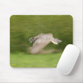 Große Hornschale (Bubo virginianus) Mousepad (Mit Mouse)