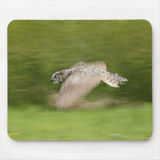 Große Hornschale (Bubo virginianus) Mousepad (Vorne)