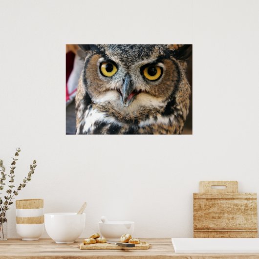Große Hornschale (Bubo virginianus) Poster (Küche)