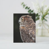 Große Hornschale (Bubo virginianus) Postkarte (Stehend Vorderseite)