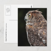 Große Hornschale (Bubo virginianus) Postkarte (Vorne/Hinten)