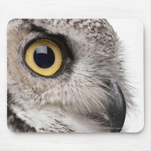 Große Hornschale - Bubo Virginianus Subarcticus Mousepad (Vorne)