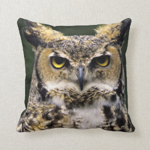 Große Hornschale (Bubo virginianus), Vollkörper Kissen