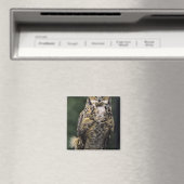 Große Hornschale (Bubo virginianus), Vollkörper Magnet (In Situ (Geschirrspüler))