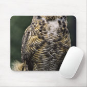 Große Hornschale (Bubo virginianus), Vollkörper Mousepad (Mit Mouse)
