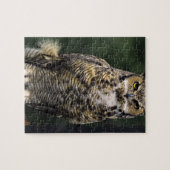 Große Hornschale (Bubo virginianus), Vollkörper Puzzle (Horizontal)