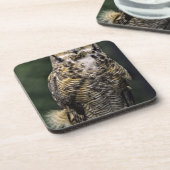 Große Hornschale (Bubo virginianus), Vollkörper Untersetzer (Linke Seite)