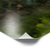 Große Hornschale Fotodruck (Ecke)