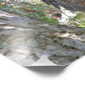 Große Hornschale Fotodruck (Ecke)