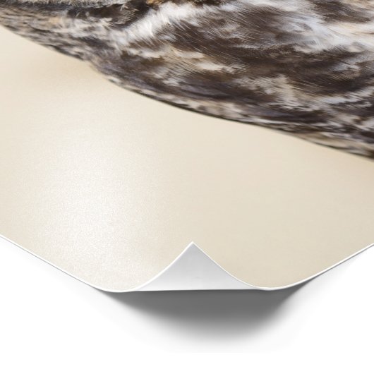 Große Hornschale Fotodruck (Ecke)