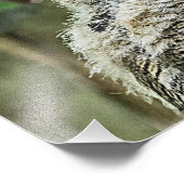 Große Hornschale Fotodruck (Ecke)