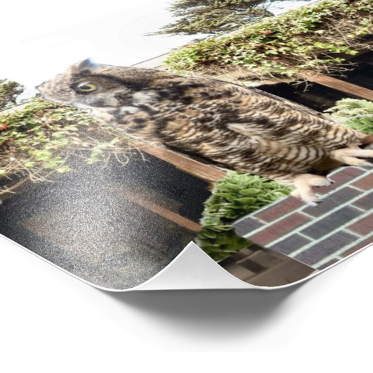 Große Hornschale Fotodruck (Ecke)