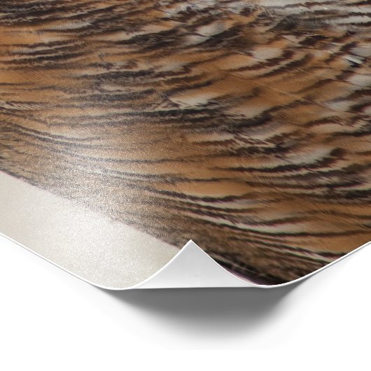 Große Hornschale Fotodruck (Ecke)