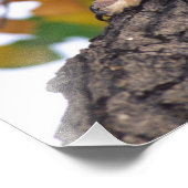 Große Hornschale Fotodruck (Ecke)