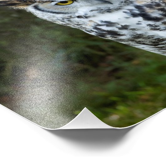 Große Hornschale Fotodruck (Ecke)