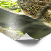 Große Hornschale Fotodruck (Ecke)