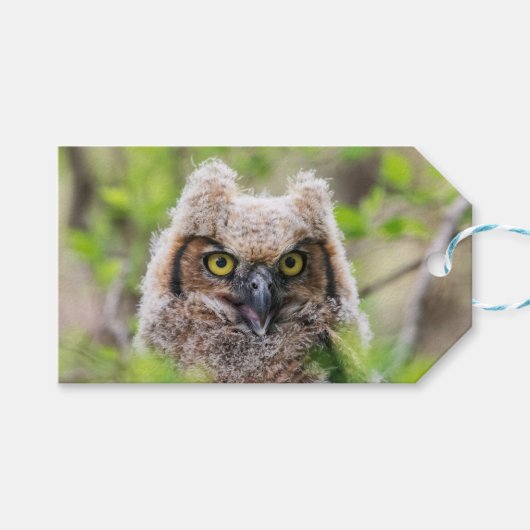 Große Hornschale Geschenkanhänger (Vorderseite (Horizontal))