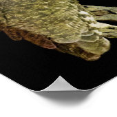 Große Hornschale in der Nacht Poster (Ecke)