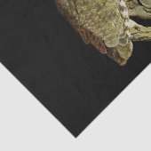 Große Hornschale in der Nacht Seidenpapier (Ausschnitt)