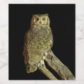 Große Hornschale in der Nacht Weinetikett (Einzelnes Label)