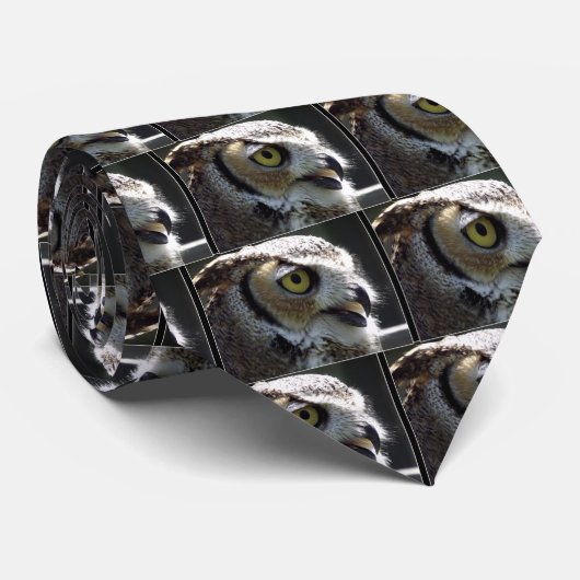 Große Hornschale Krawatte (Gerollt)